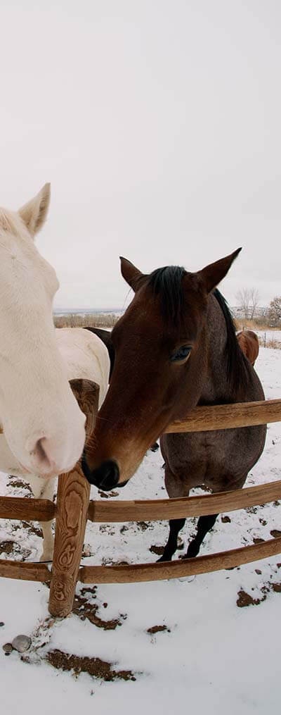 horse-riding-16