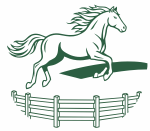 staj_veronic_logo_bez_textu